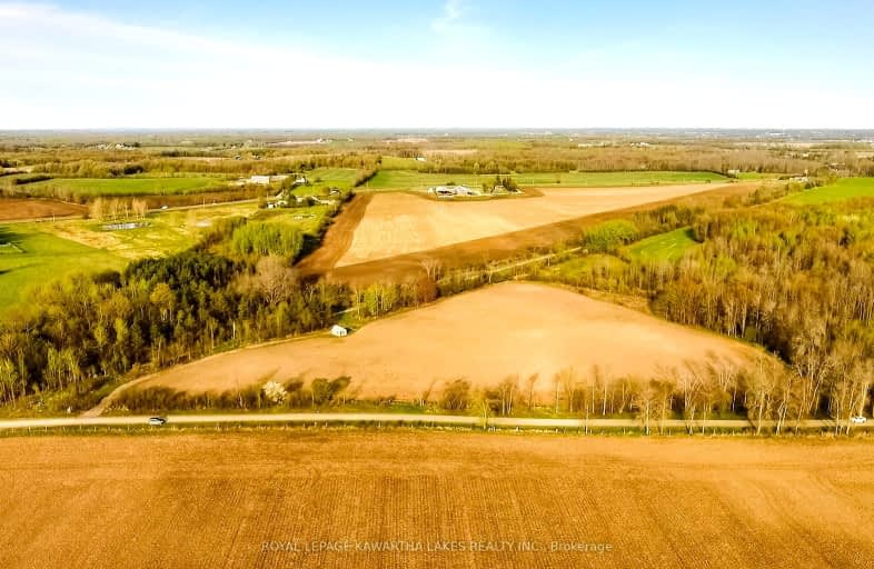  Lilac Road, Kawartha Lakes | Image 1