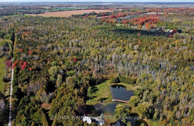 Simcoe Street North, Kawartha Lakes | Image 1