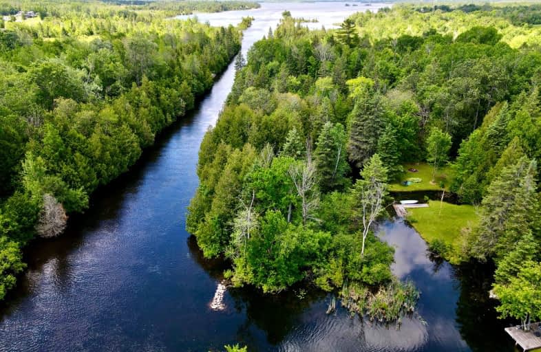 81 McGuire Beach Road, Kawartha Lakes | Image 1