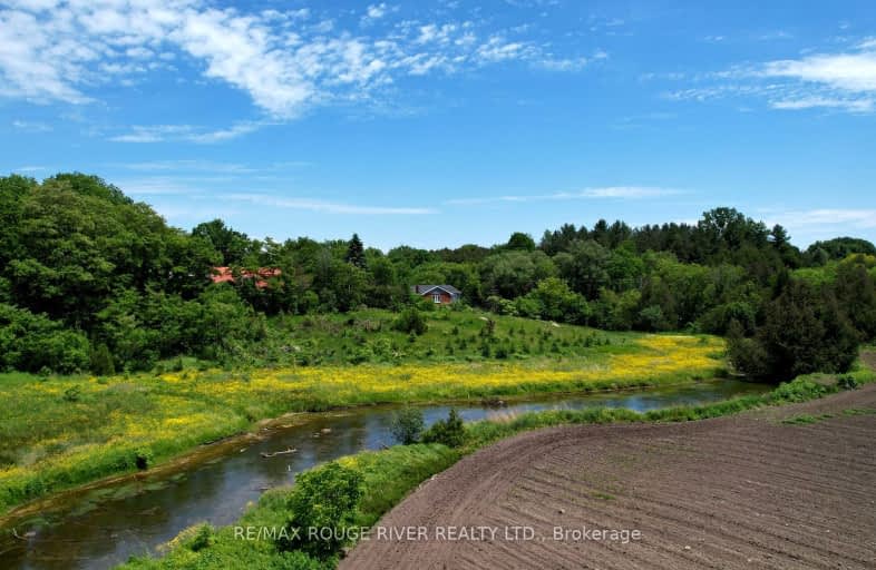 Mill Street, Port Hope | Image 1