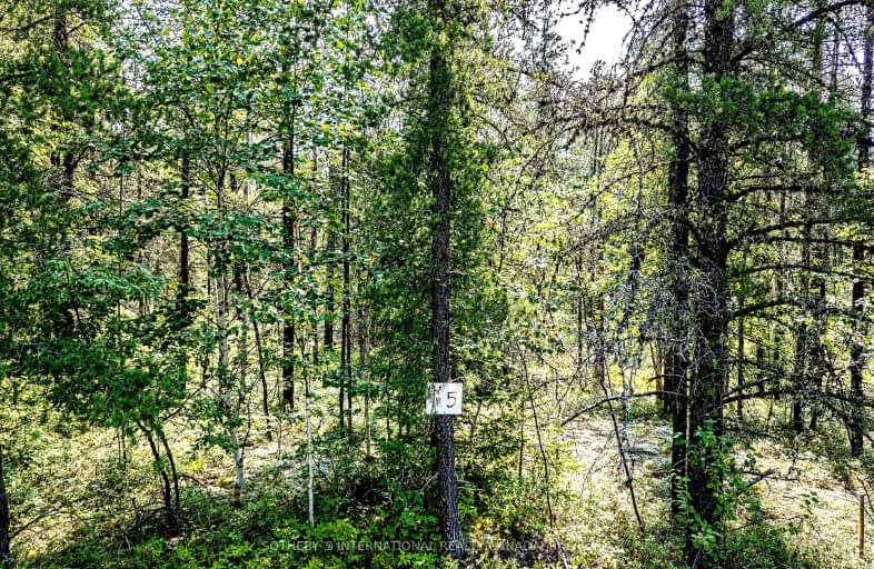 Lot 12 Munro Lake Road, Cochrane | Image 1