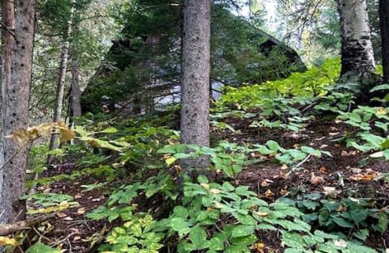  Madawaska (York) River, Bancroft | Image 1