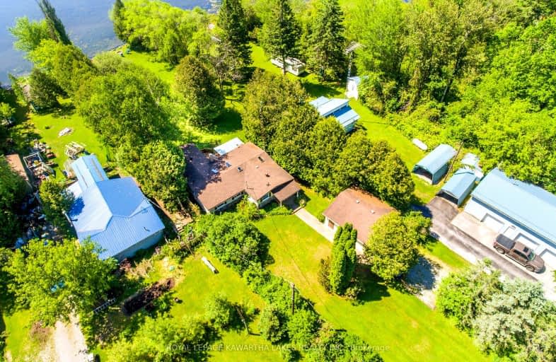 159 Mcguire Beach Road, Kawartha Lakes | Image 1