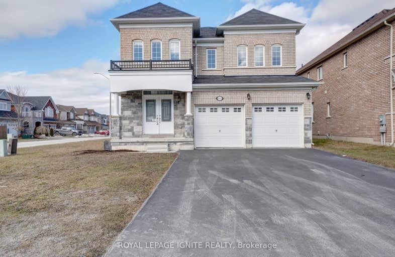 60 Paul Rexe Boulevard, Peterborough | Image 1