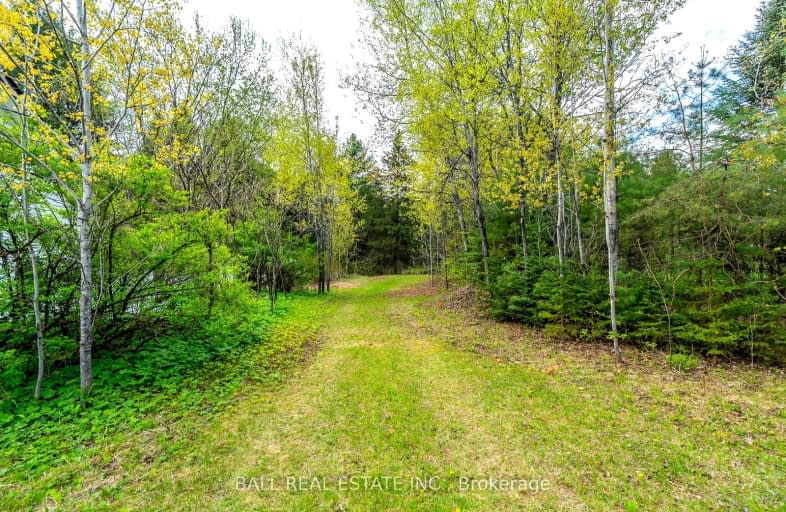 The Avenue, Kawartha Lakes | Image 1