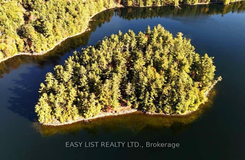 100 Kilgore Island, North Frontenac | Image 1