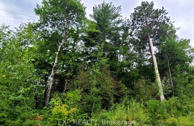 20 PEPLINSKIE HOMESTEAD Road, Madawaska Valley | Image 1