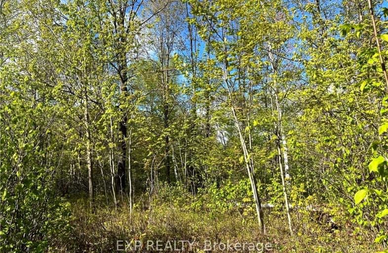 Lot 6 CASSON Trail, Madawaska Valley | Image 1