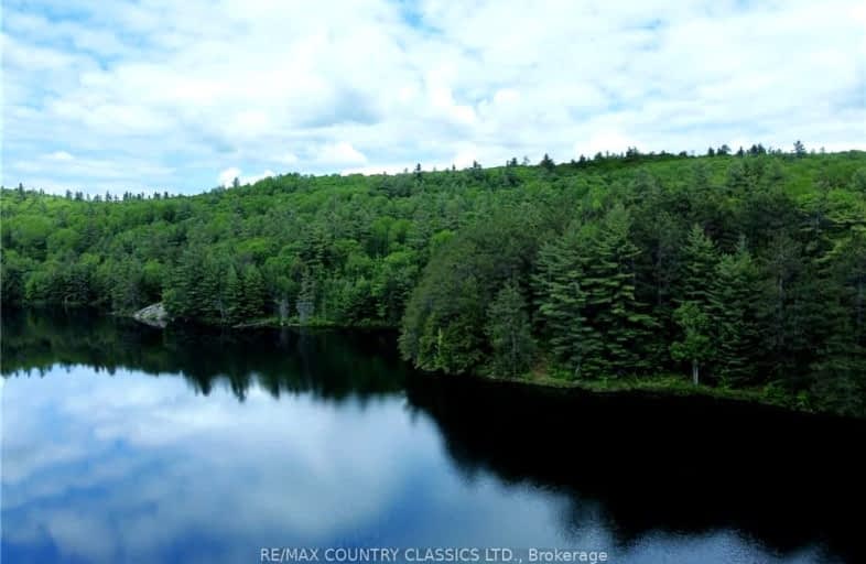 00B OTTER LAKE TRAIL BED Trail, Madawaska Valley | Image 1