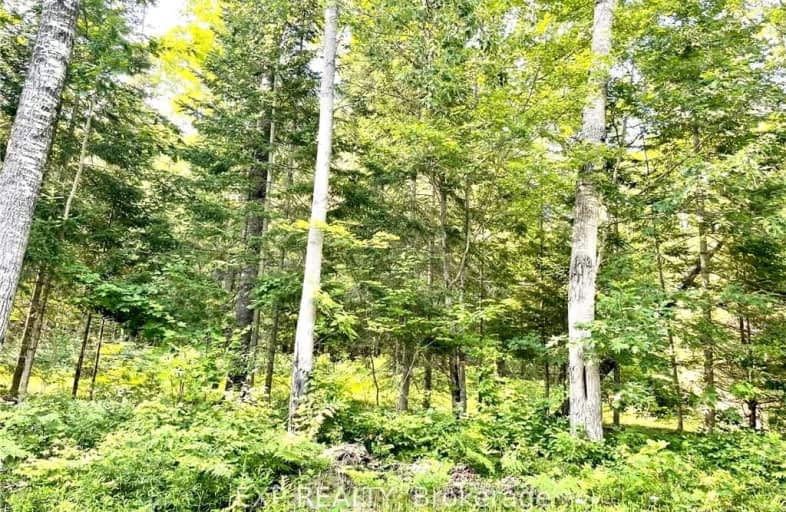 Lot A CHIPPAWA Road, Madawaska Valley | Image 1