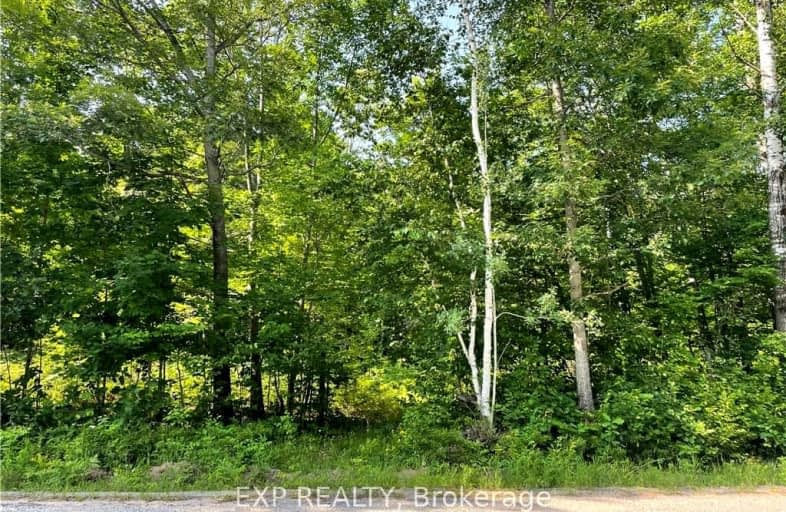 Lot B CHIPPAWA Road, Madawaska Valley | Image 1